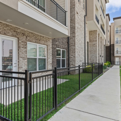 Your furry friend deserves the best too.